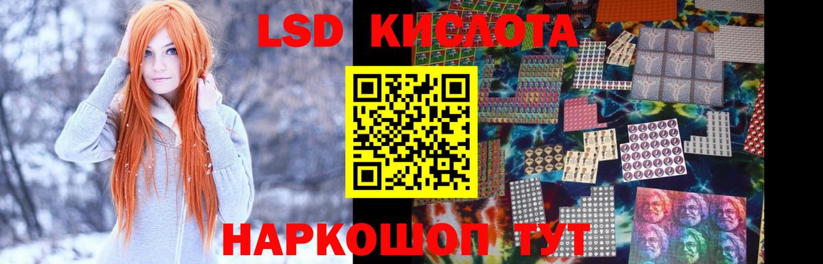 ЛСД экстази  Вход с VPN  Новозыбков  Лсд 25 экстази кислота 