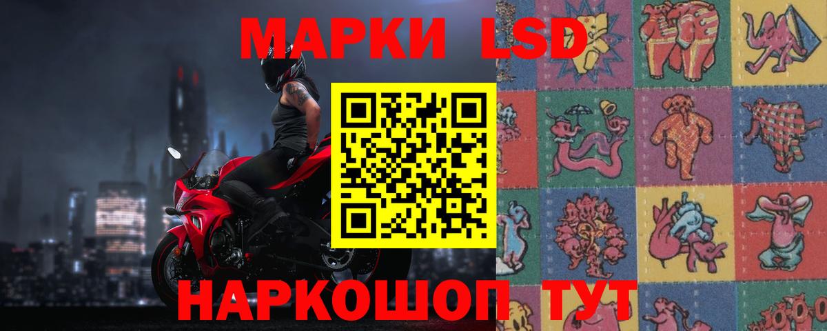 LSD-25 экстази ecstasy Новозыбков