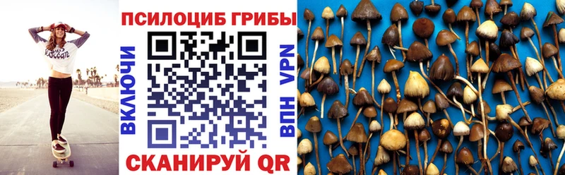 Псилоцибиновые грибы прущие грибы  Новозыбков 