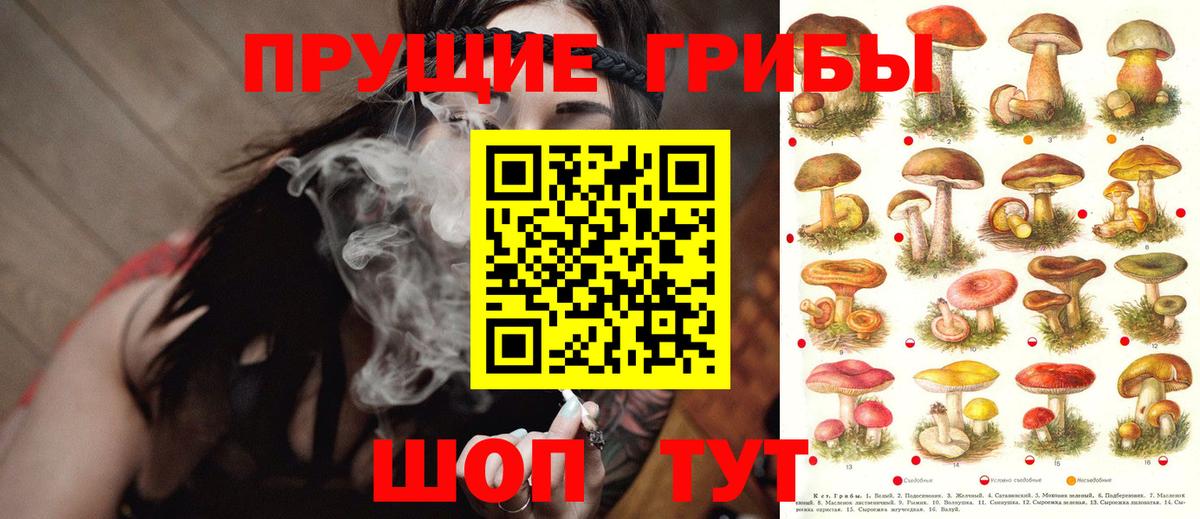 Псилоцибиновые грибы MAGIC MUSHROOMS  Вход с VPN  Галлюциногенные грибы ЛСД  Новозыбков 