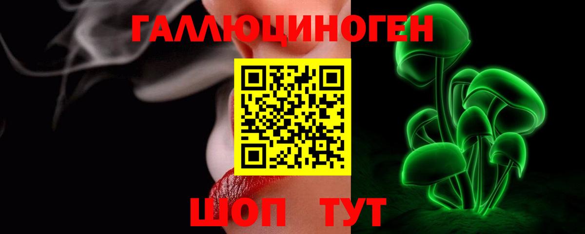 Галлюциногенные грибы Psilocybine cubensis Новозыбков